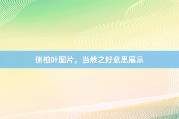 侧柏叶图片，当然之好意思展示